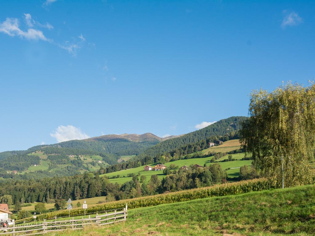 Oberbaumgartnerhof Villa Falzes Luaran gambar