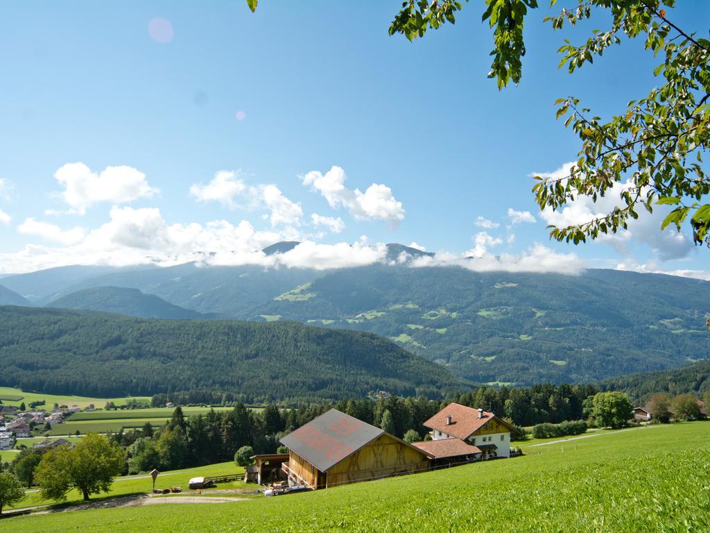 Oberbaumgartnerhof Villa Falzes Luaran gambar