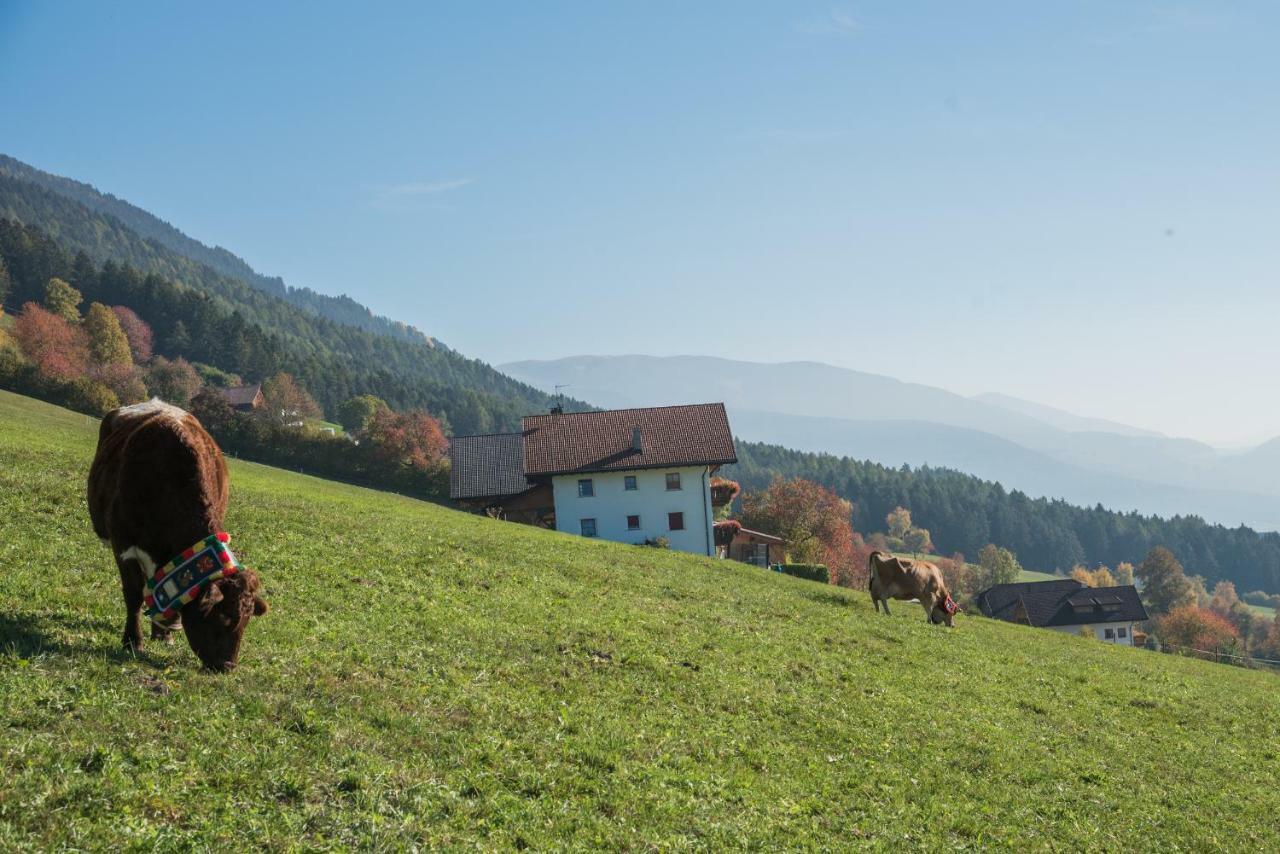 Oberbaumgartnerhof Villa Falzes Luaran gambar